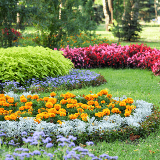 Paisagismo, Manutenção de Jardins, Comércio e Plantio de Grama, Corte e Poda de Arvores em Valinhos, Vinhedo, Hortolândia, Indaiatuba