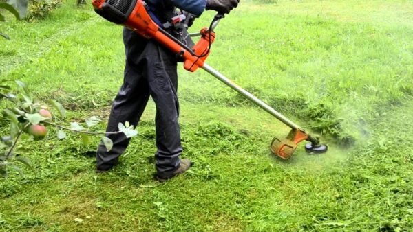 Manutenção em Gramados Cortes e Revitalização em Valinhos, Vinhedo, Hortolândia, Indaiatuba